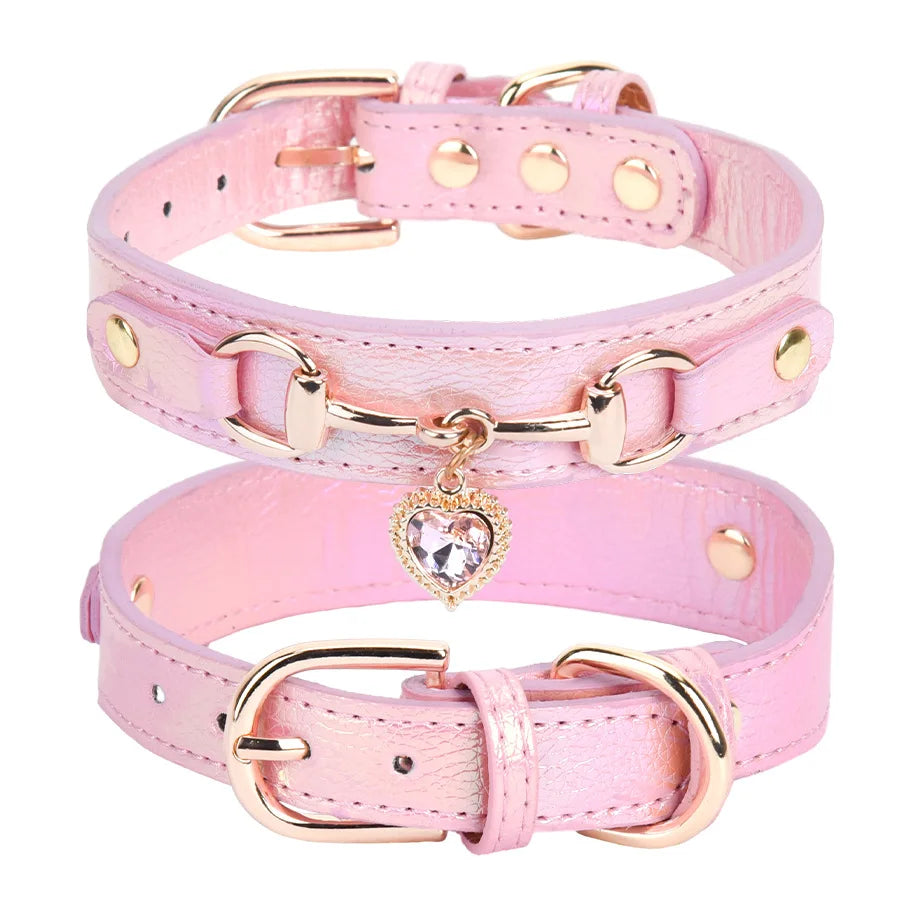 Collier pour chien en cuir PU rembourré et confortable pour petites races