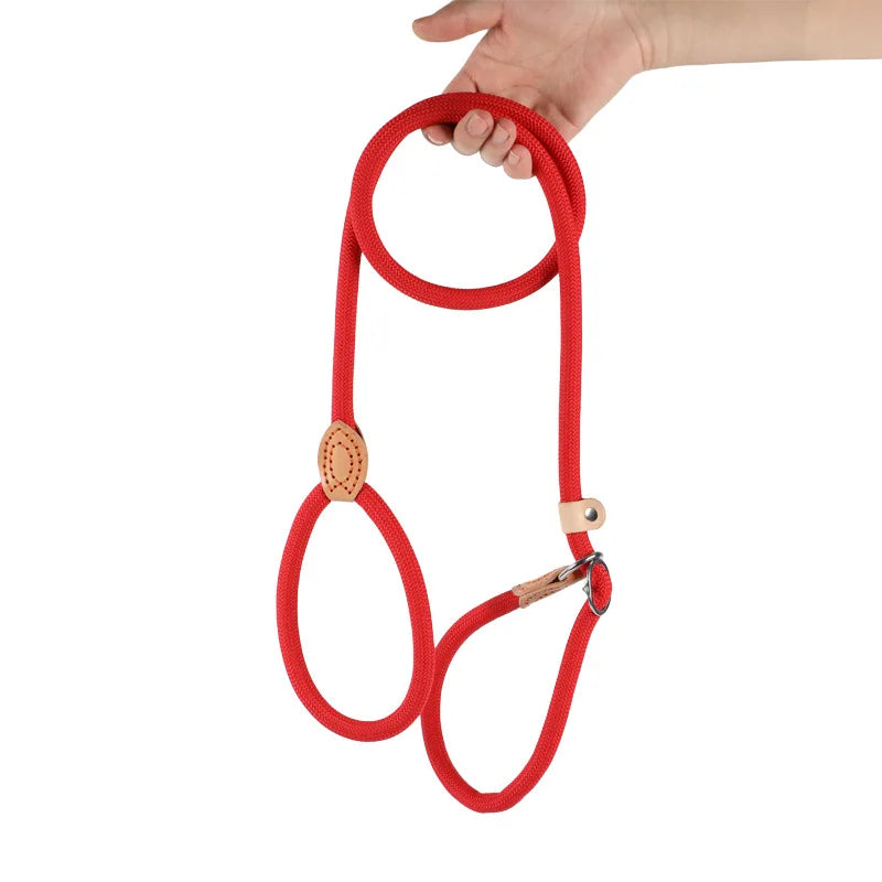 Laisse Coulissante en Nylon Durable pour Chien pour un Contrôle Sécurisé