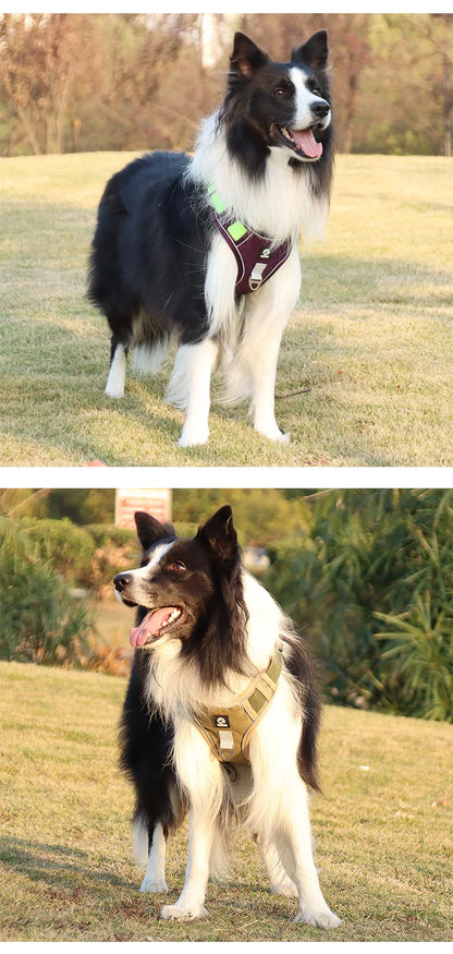 Harnais tactique anti-traction pour chien avec visibilité réfléchissante