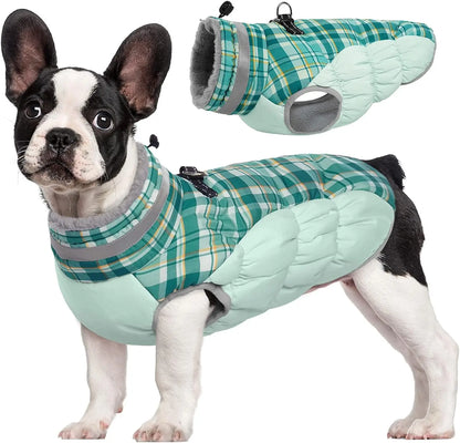 Manteau d'Hiver en Polaire Chaud pour Chien - Gilet Imprimé Écologique