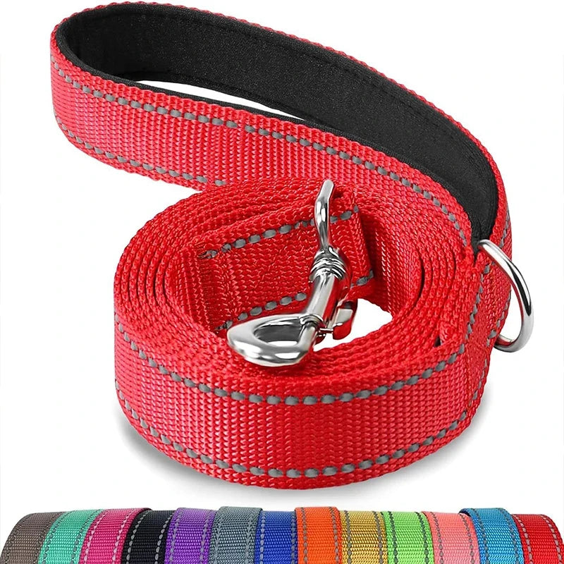 Laisse réglable en nylon réfléchissant pour chien pour des promenades quotidiennes sécurisées