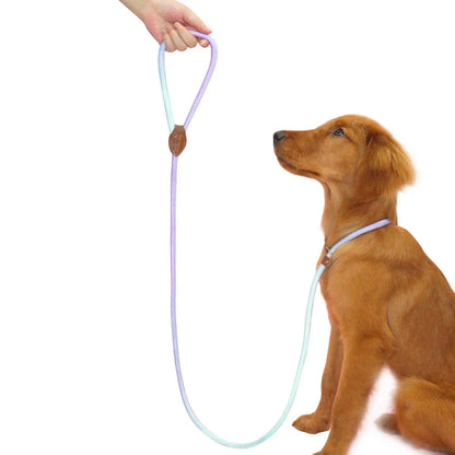 Laisse Coulissante en Nylon Durable pour Chien pour un Contrôle Sécurisé