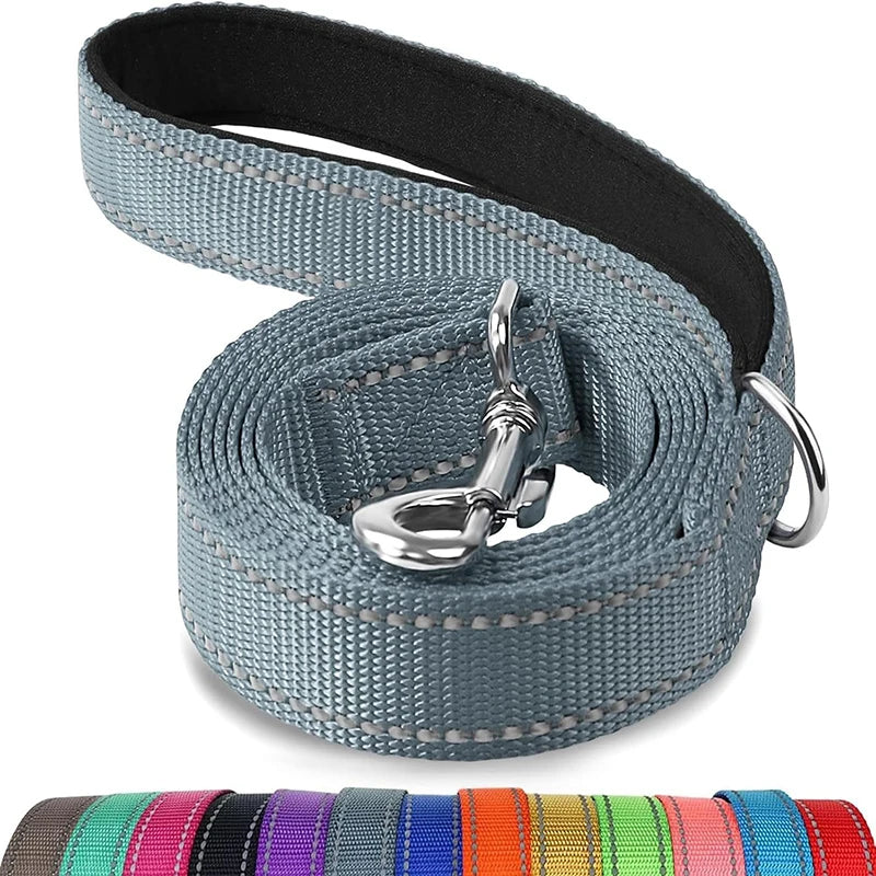 Laisse réglable en nylon réfléchissant pour chien pour des promenades quotidiennes sécurisées