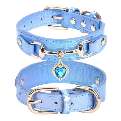 Collier pour chien en cuir PU rembourré et confortable pour petites races