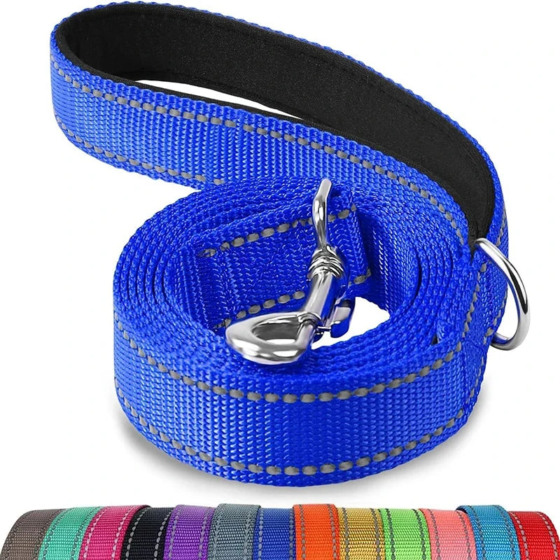 Laisse réglable en nylon réfléchissant pour chien pour des promenades quotidiennes sécurisées