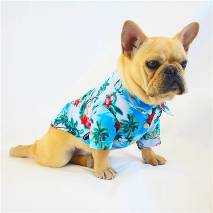 Sweat à Capuche Assorti en Coton VPETBR pour Chien et Propriétaire pour un Confort Quotidien