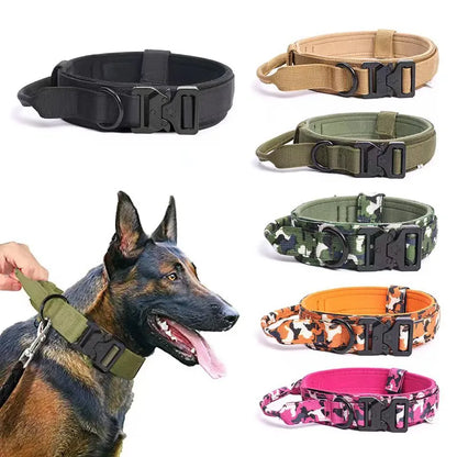 Collier Tactique pour Chien en Nylon Résistant pour une Manipulation Sécurisée