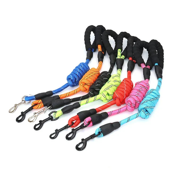 Laisse pour chien en nylon tressé robuste pour une promenade en toute sécurité