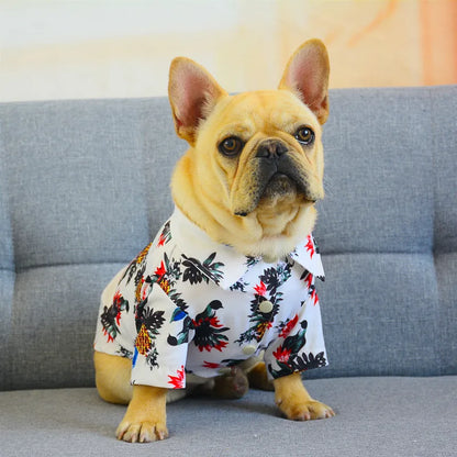Sweat à Capuche Assorti en Coton VPETBR pour Chien et Propriétaire pour un Confort Quotidien