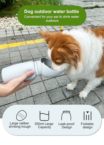 Bouteille d'eau pliable en silicone étanche pour chien