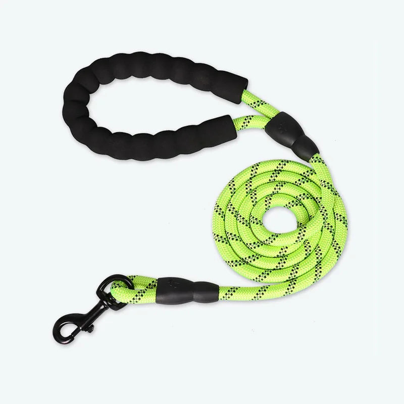 Laisse pour Chien en Nylon Réfléchissant Bold pour Promenades Nocturnes Sécurisées