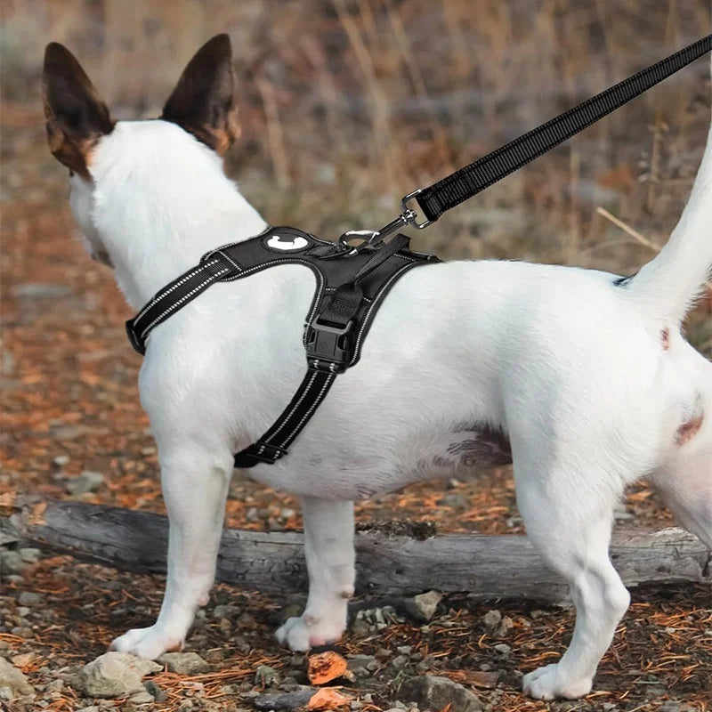 Laisse réglable en nylon réfléchissant pour chien pour des promenades quotidiennes sécurisées