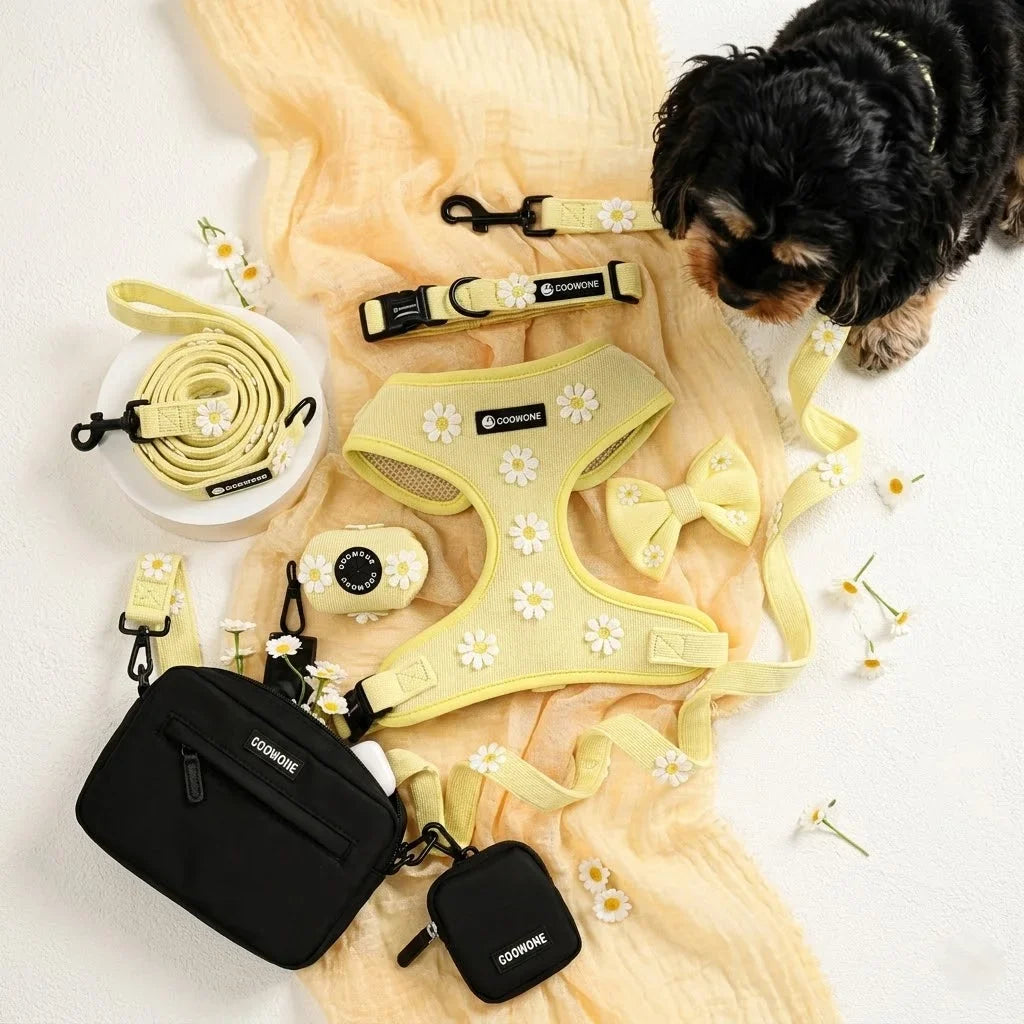 Ensemble de Harnais Ajustable en Tricot pour Animaux pour des Promenades Confortables