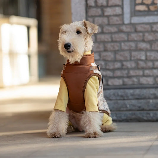 Manteau Matelassé Imperméable pour Chien avec Harnais Intégré