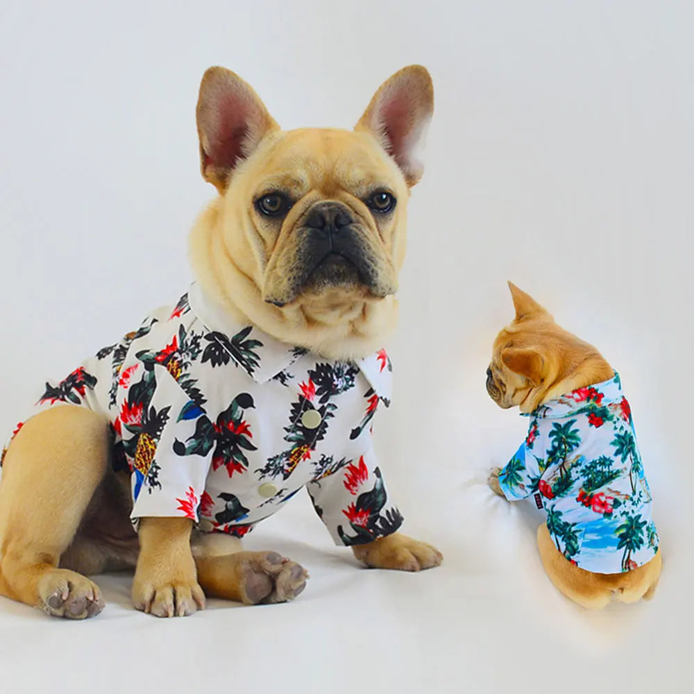 Sweat à Capuche Assorti en Coton VPETBR pour Chien et Propriétaire pour un Confort Quotidien