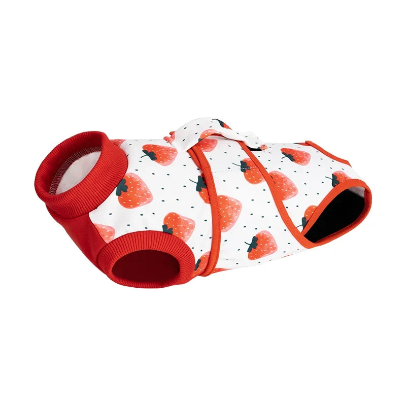 Combinaison de Récupération Post-Chirurgie pour Animaux - Couverture Abdominale Confortable