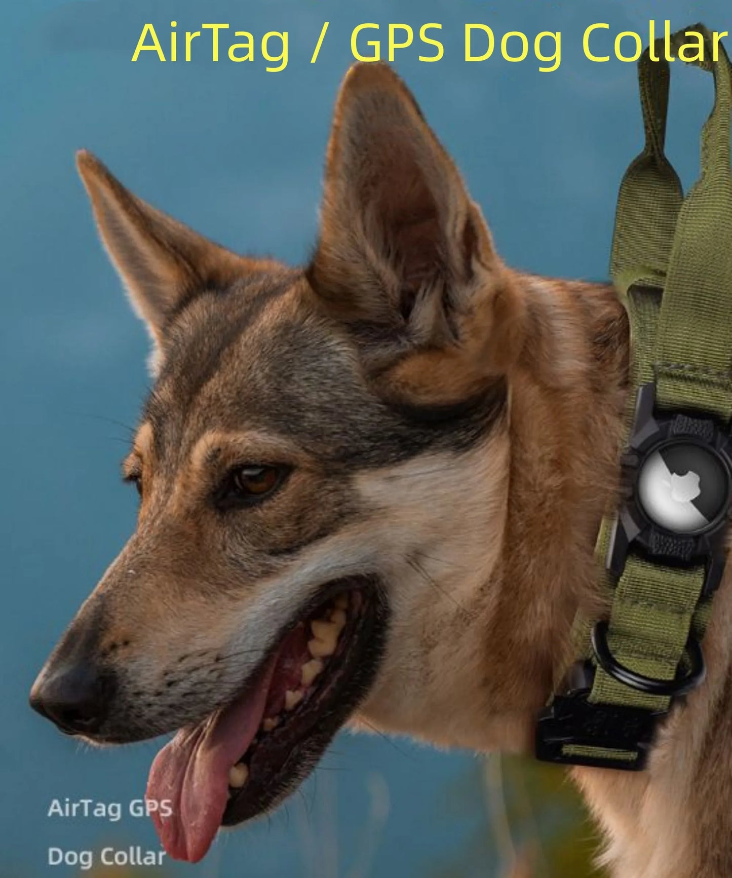Collier Tactique Robuste pour Chien avec Porte-Traceur GPS AirTag