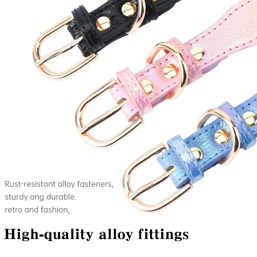 Collier pour chien en cuir PU rembourré et confortable pour petites races