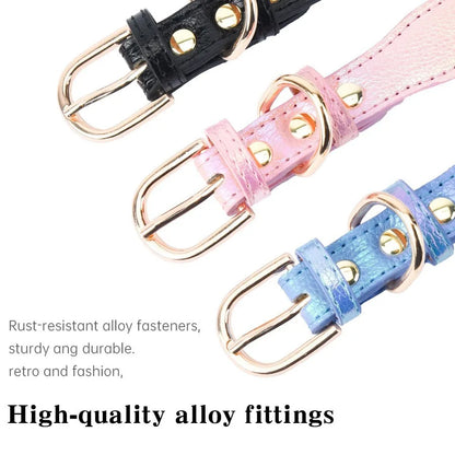 Collier pour chien en cuir PU rembourré et confortable pour petites races