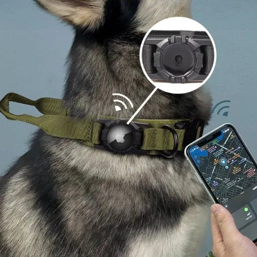 Collier Tactique Robuste pour Chien avec Porte-Traceur GPS AirTag