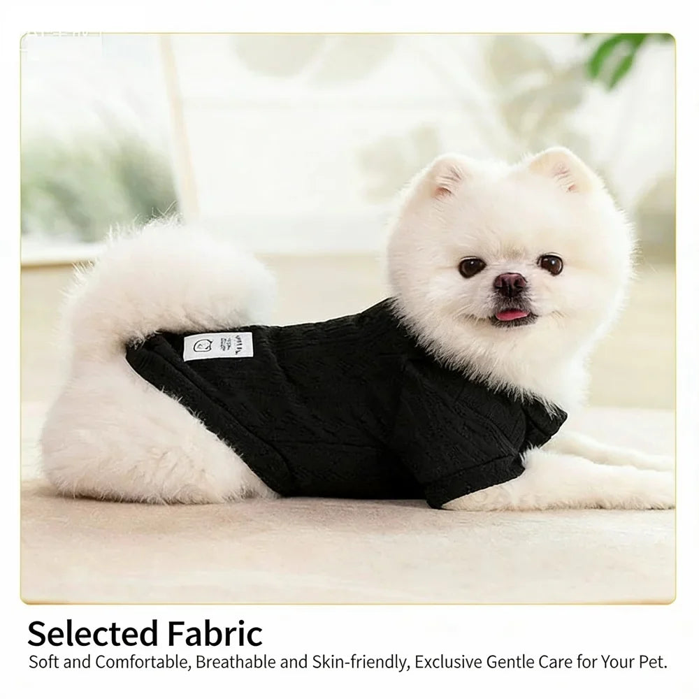 Pull d'Hiver Écologique pour Chien - Chaleur et Confort Classiques