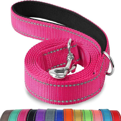 Laisse réglable en nylon réfléchissant pour chien pour des promenades quotidiennes sécurisées