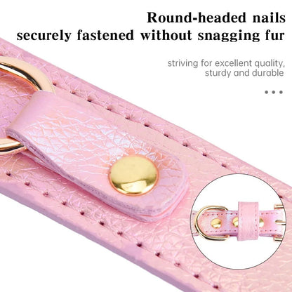 Collier pour chien en cuir PU rembourré et confortable pour petites races