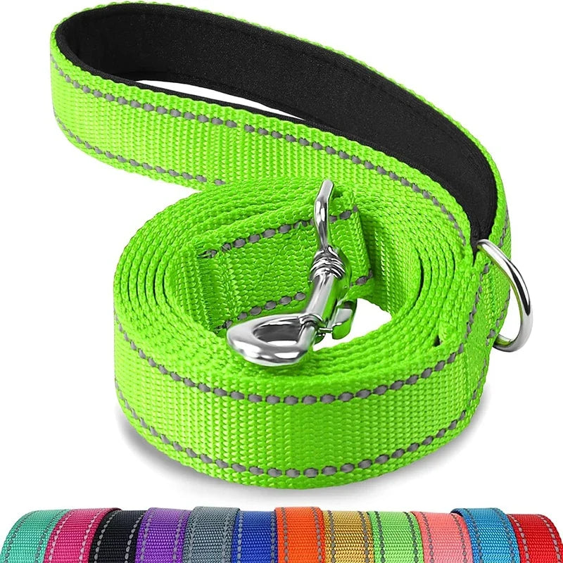 Laisse réglable en nylon réfléchissant pour chien pour des promenades quotidiennes sécurisées
