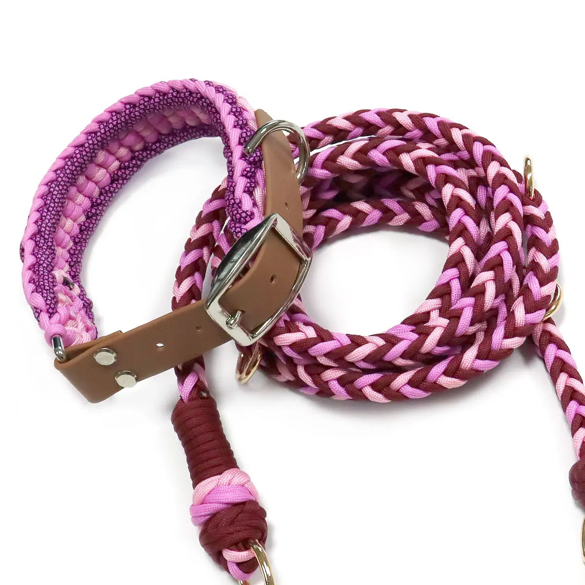 Ensemble Collier et Laisse Imperméable Robuste pour Chien - Taille M