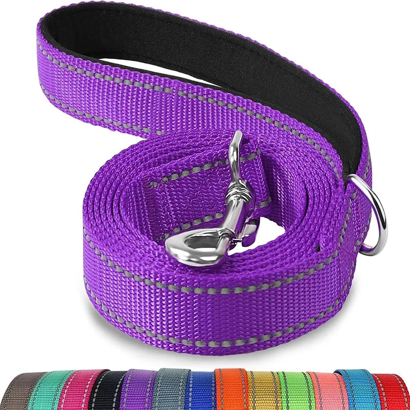 Laisse réglable en nylon réfléchissant pour chien pour des promenades quotidiennes sécurisées