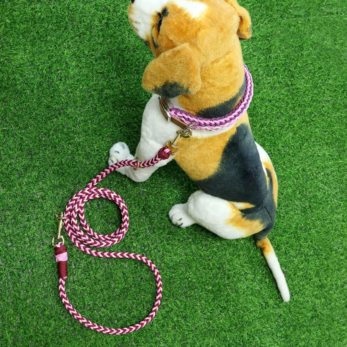 Ensemble Collier et Laisse Imperméable Robuste pour Chien - Taille M