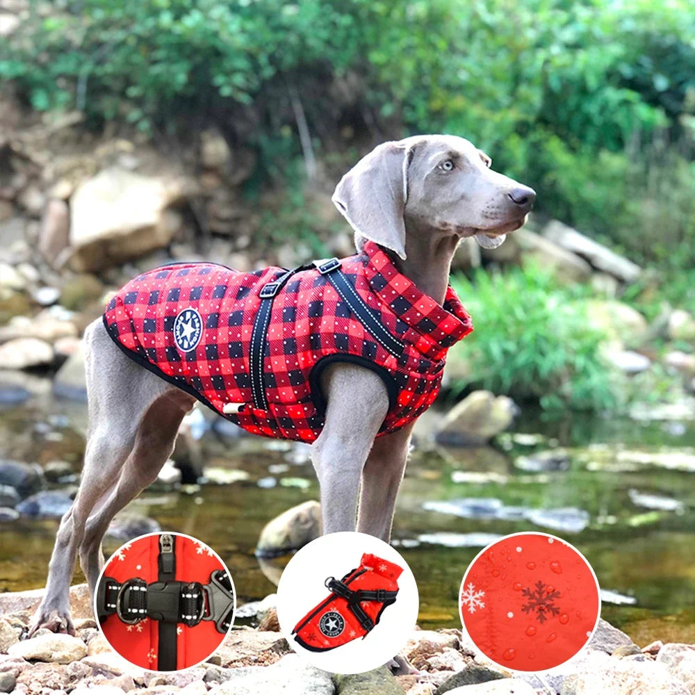 Manteau Ajustable Moderne pour Chien pour un Confort Toute l'Année