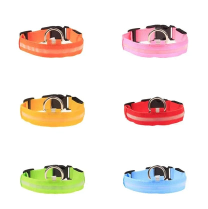 Collier LED Clignotant SinSky pour Animaux de Compagnie pour Visibilité et Sécurité Nocturnes