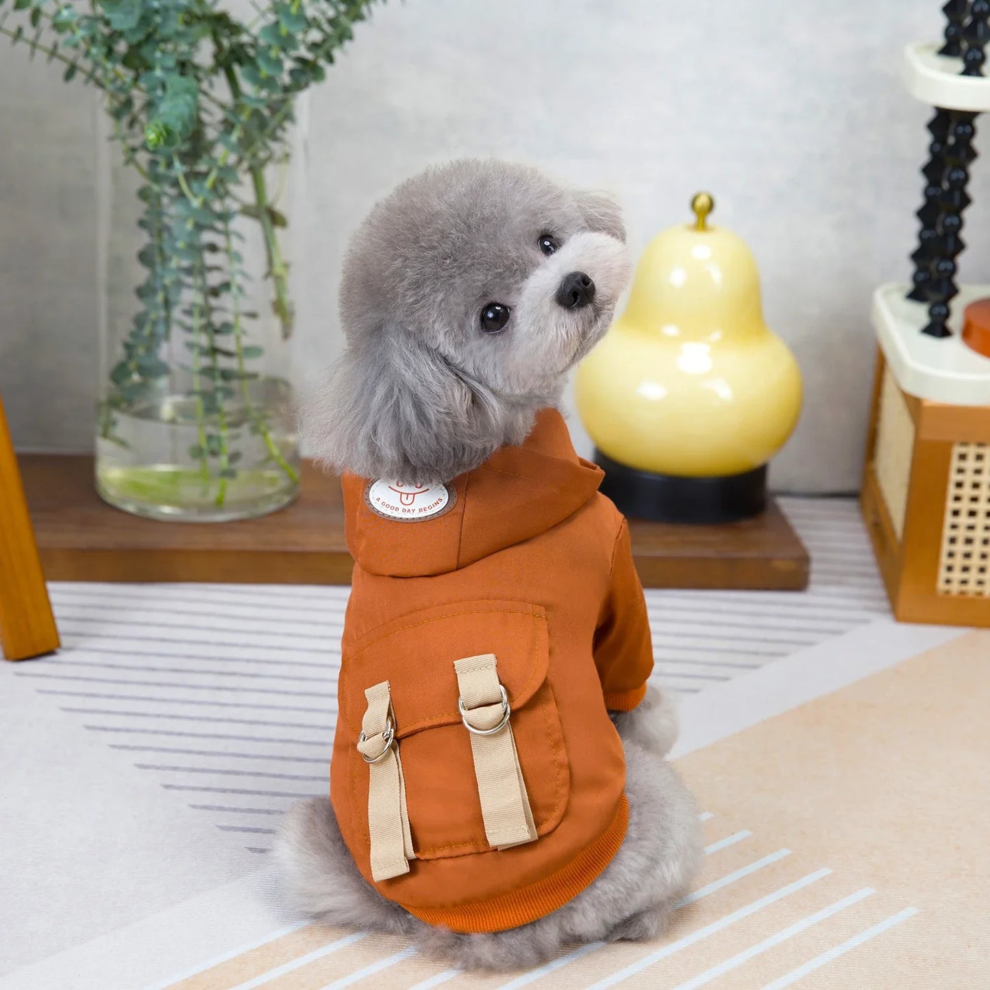 Manteau d'Hiver pour Chien à Deux Pattes - Veste en Polyester Écologique