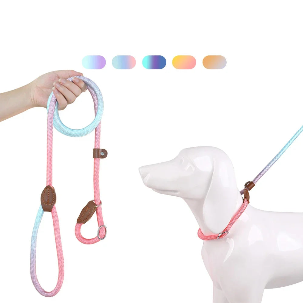 Laisse Coulissante en Nylon Durable pour Chien pour un Contrôle Sécurisé