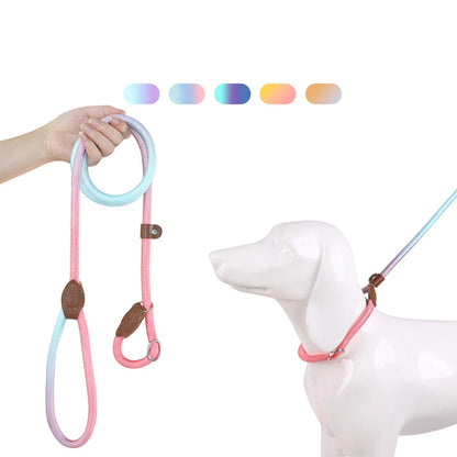 Laisse Coulissante en Nylon Durable pour Chien pour un Contrôle Sécurisé