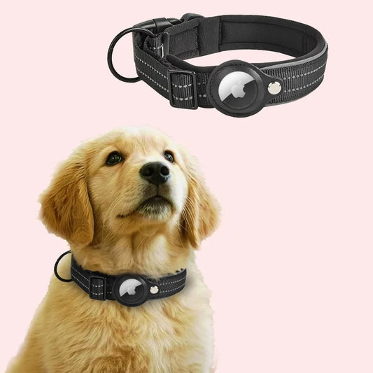 Collier en Nylon Réfléchissant Ajustable pour Chien avec Housse AirTag