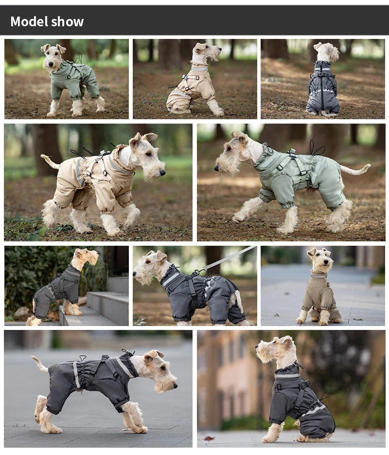 Combinaison Imperméable pour Chien : Veste Quatre Pattes Respirante et Chaude