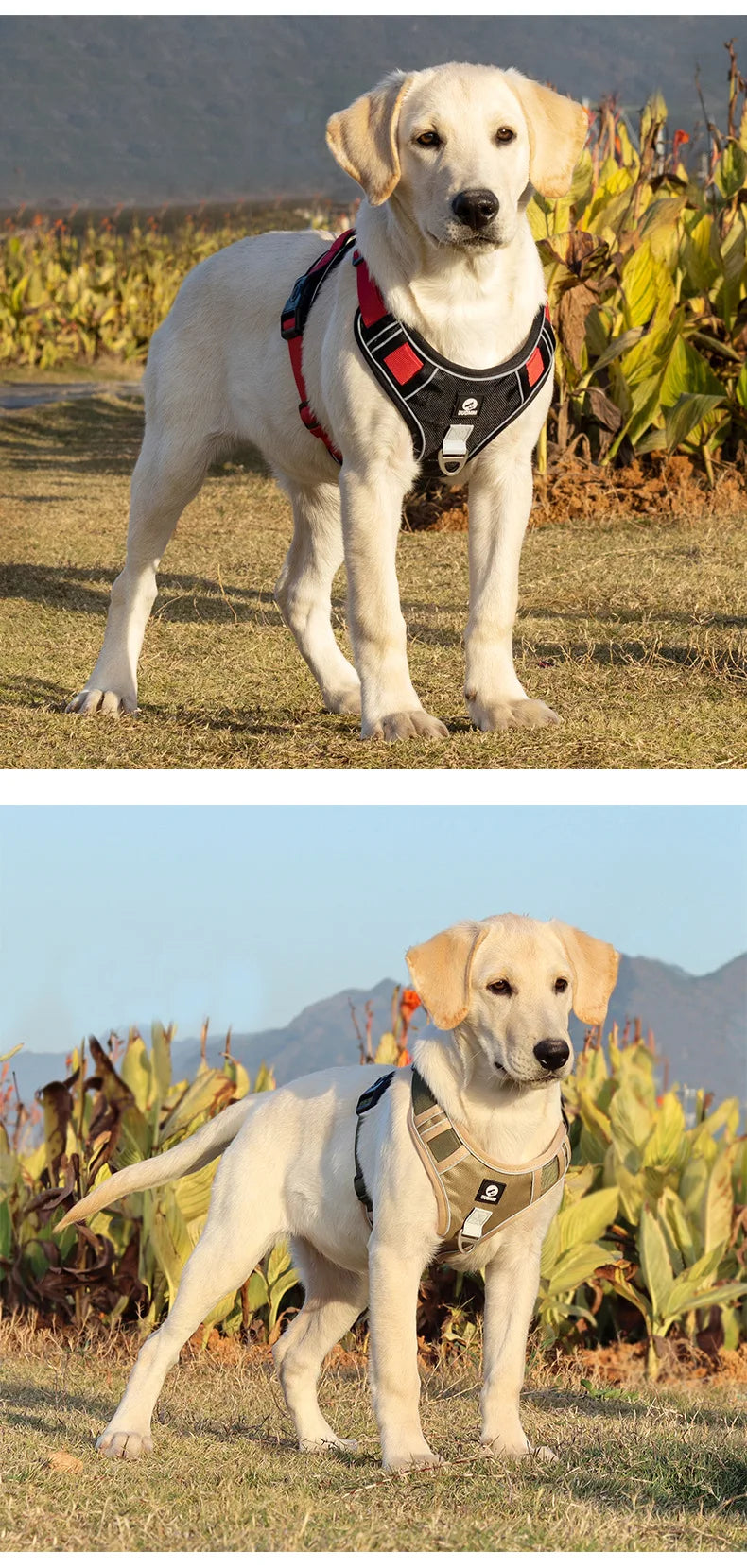 Harnais tactique anti-traction pour chien avec visibilité réfléchissante