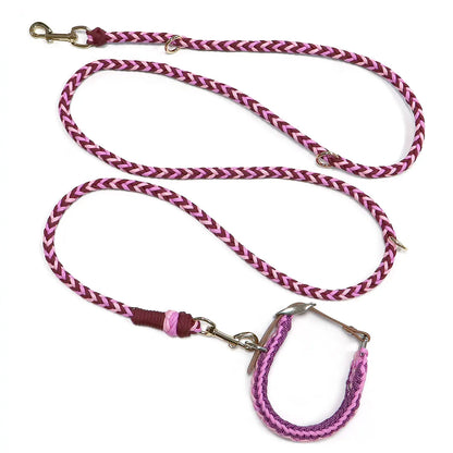 Ensemble Collier et Laisse Imperméable Robuste pour Chien - Taille M