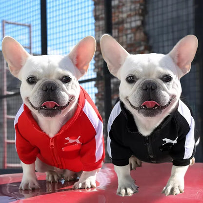 Gilet d'Hiver Classique et Chaud pour Chien - Manteau Isolant pour Animaux