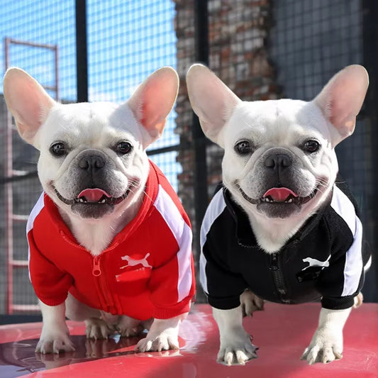 Gilet d'Hiver Classique et Chaud pour Chien - Manteau Isolant pour Animaux