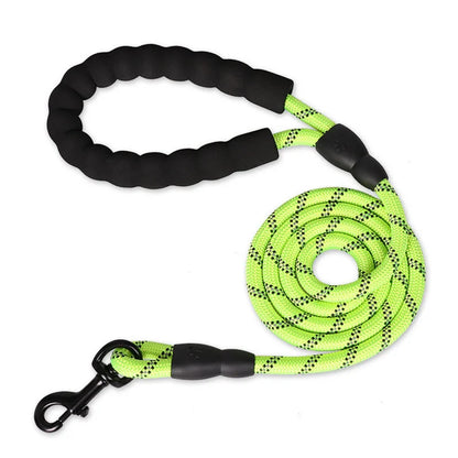 Laisse pour chien en nylon tressé robuste pour une promenade en toute sécurité