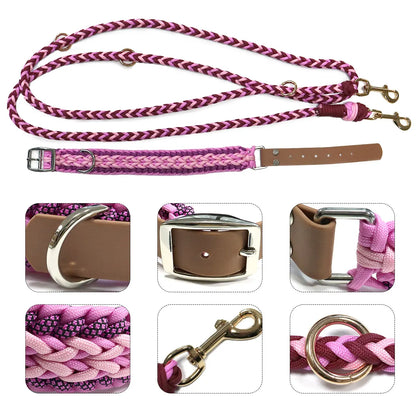 Ensemble Collier et Laisse Imperméable Robuste pour Chien - Taille M