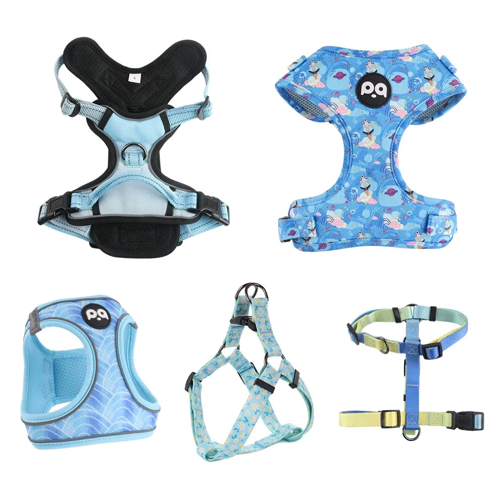 Collier pour Chien Rembourré Ajustable - Confort Réfléchissant pour des Promenades Sécurisées