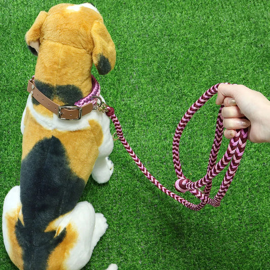 Ensemble Collier et Laisse Imperméable Robuste pour Chien - Taille M