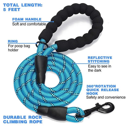 Laisse pour Chien en Nylon Réfléchissant Bold pour Promenades Nocturnes Sécurisées