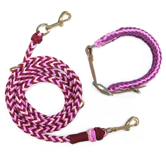Ensemble Collier et Laisse Imperméable Robuste pour Chien - Taille M