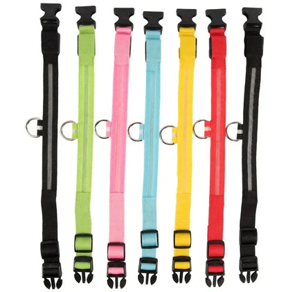 Collier LED Clignotant SinSky pour Animaux de Compagnie pour Visibilité et Sécurité Nocturnes