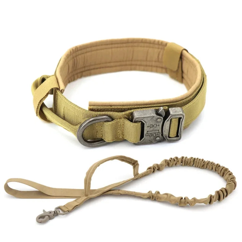 Laisse de Dressage pour Chien en Nylon Durable pour Races Moyennes et Grandes